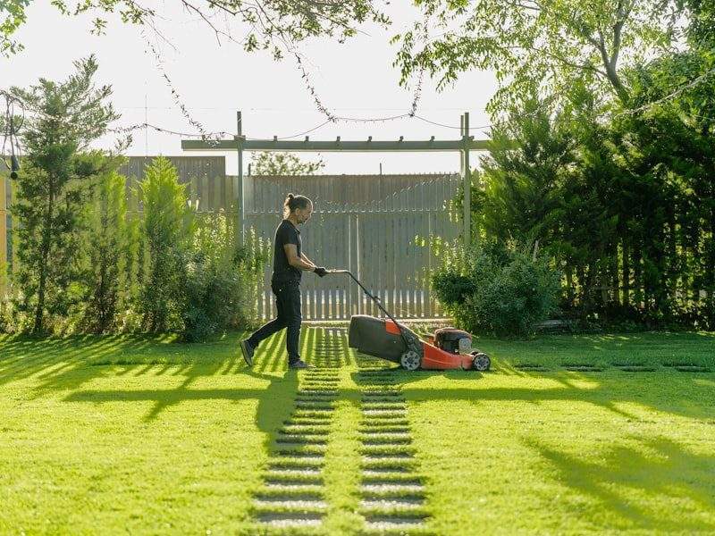 Clean yard after removal in Irvine, CA