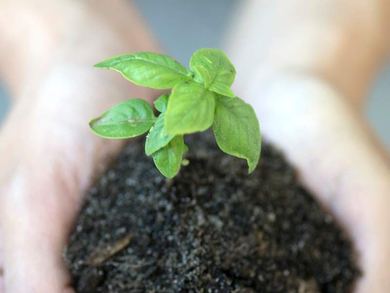 How Much Does Junk Removal Cost in Irvine, CA?